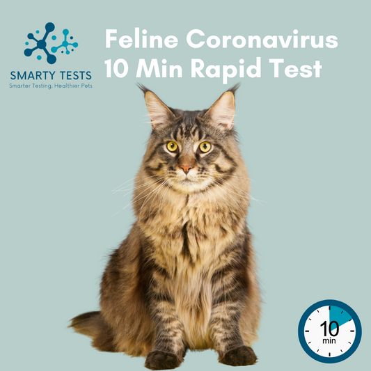 Feline Coronavirus 10 Minute Rapid Test