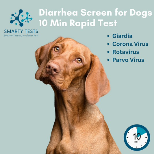 Diarrhea Screen 10-Minute Rapid Test for Dogs