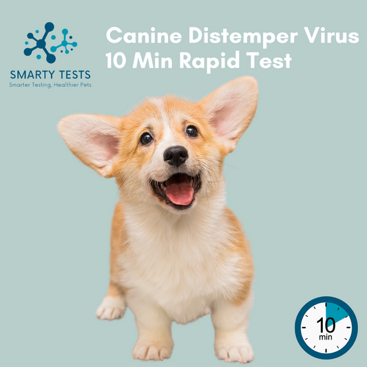 Canine Distemper Virus 10-Minute Rapid Test