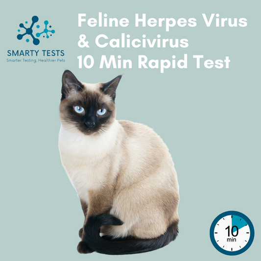 Feline Herpes & Calicivirus Combination 10-Minute Rapid Test