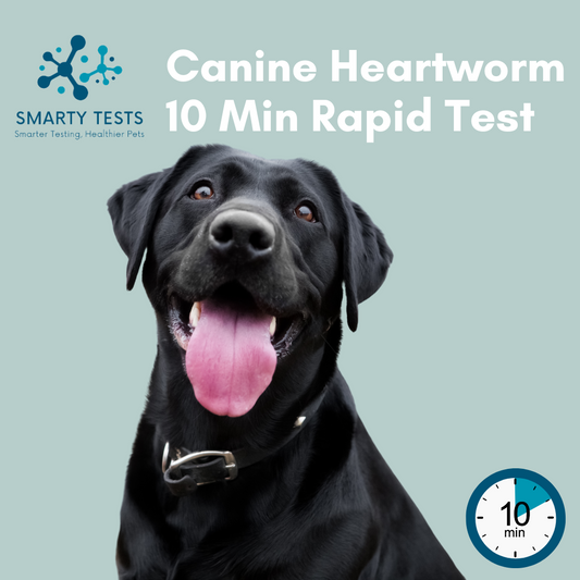 Canine Heartworm 10-Minute Rapid Test