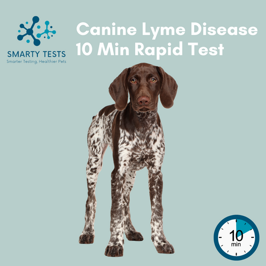 Canine Lyme Disease 10-Minute Rapid Test