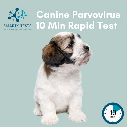 Canine Parvovirus (Parvo) 10-Minute Rapid Test