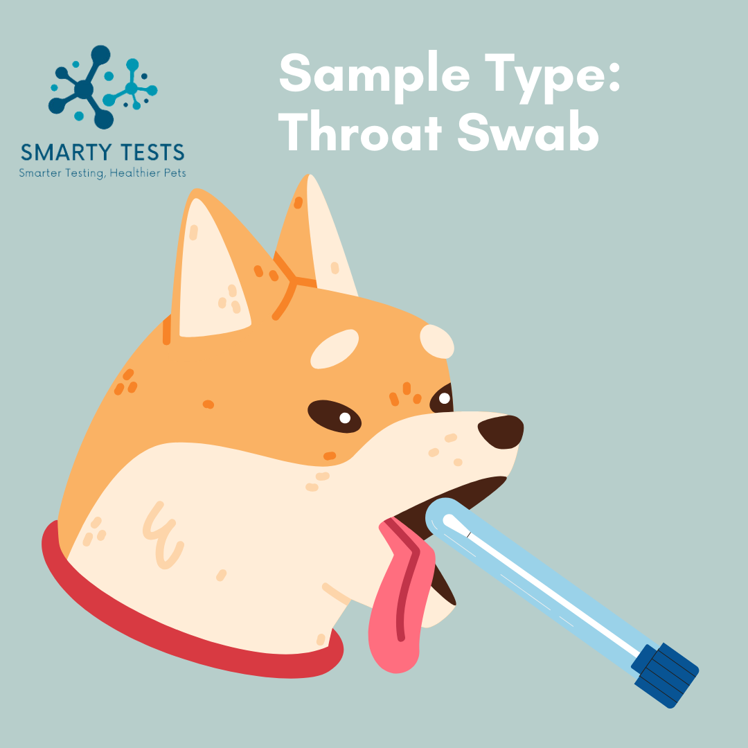 Respiratory Infection Screen for Dogs 10-Minute Rapid Test (Dog Coughing Test)